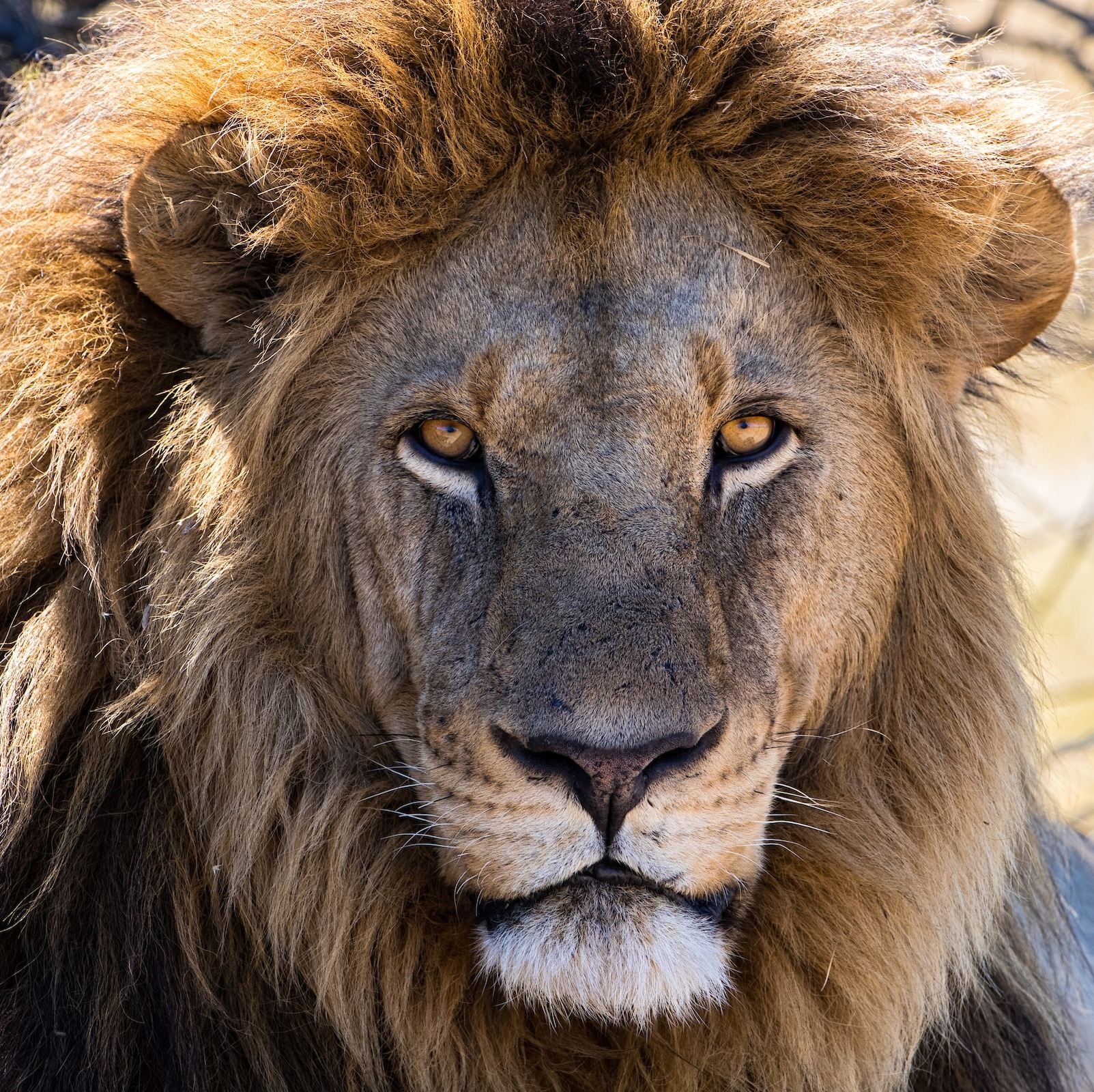 Kruger National Park on Destinations Map